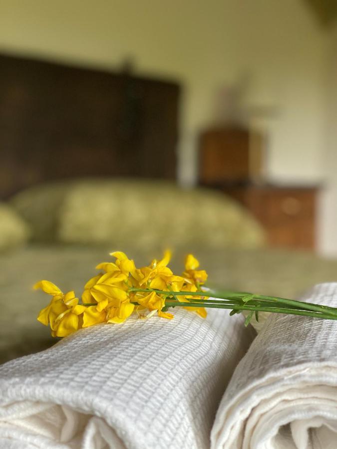 Bed and Breakfast Cascina Boschetto à Saliceto Extérieur photo