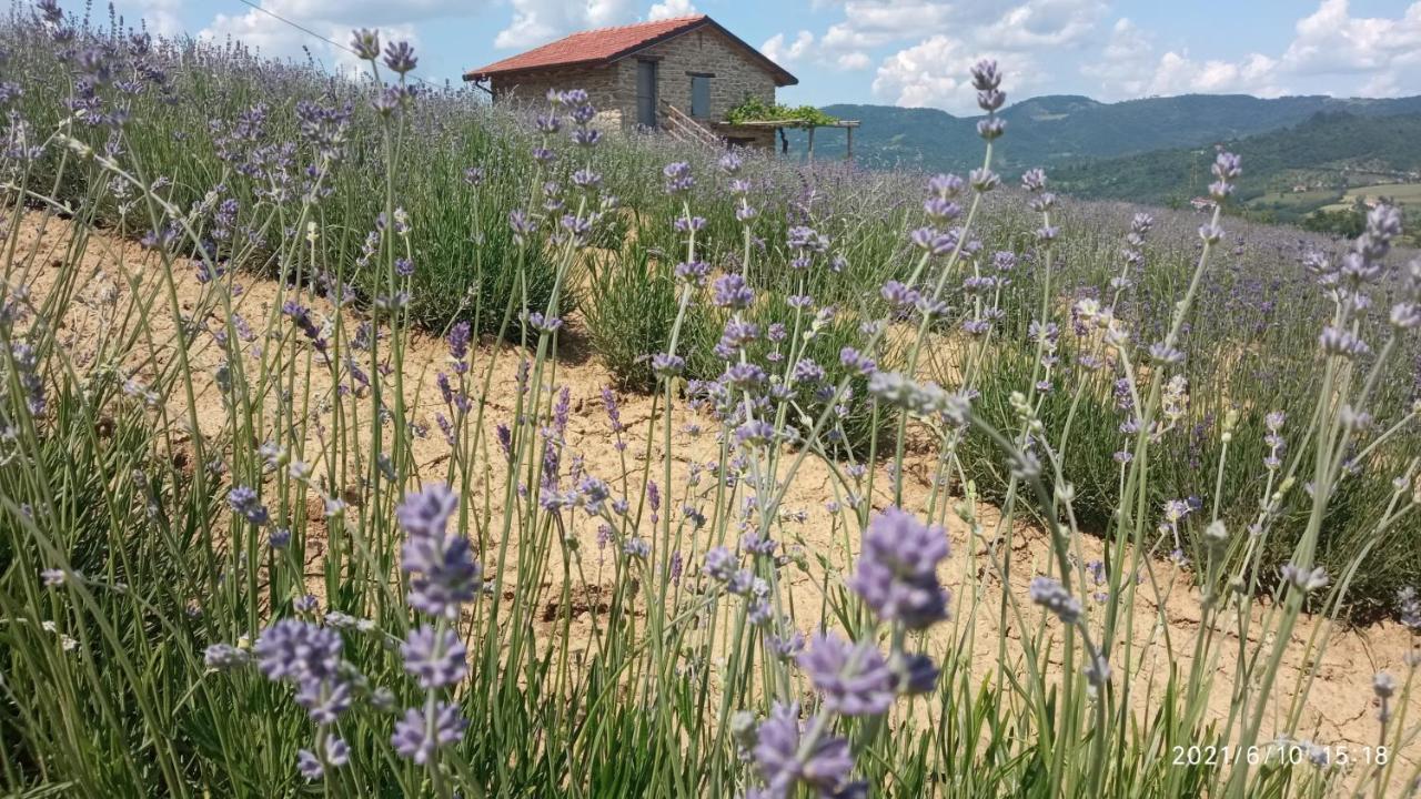 Bed and Breakfast Cascina Boschetto à Saliceto Extérieur photo
