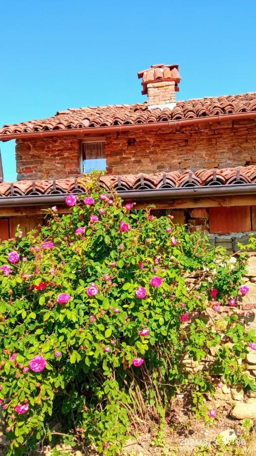 Bed and Breakfast Cascina Boschetto à Saliceto Extérieur photo