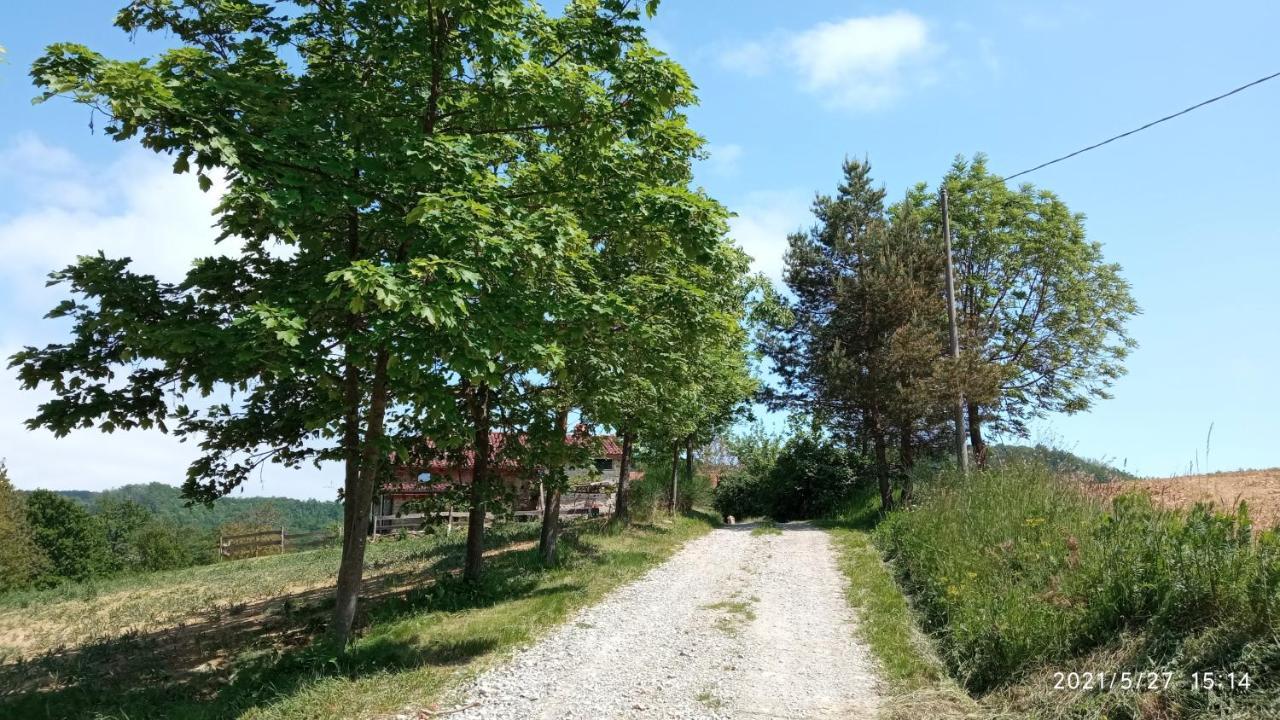 Bed and Breakfast Cascina Boschetto à Saliceto Extérieur photo