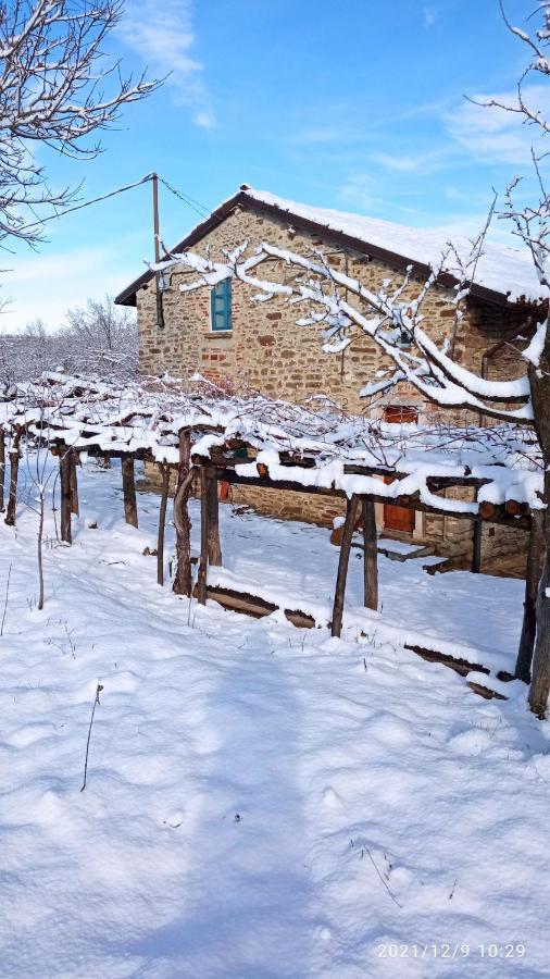 Bed and Breakfast Cascina Boschetto à Saliceto Extérieur photo
