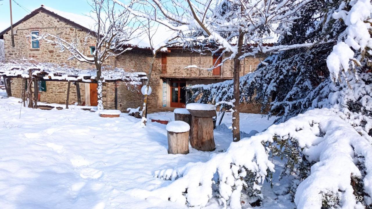 Bed and Breakfast Cascina Boschetto à Saliceto Extérieur photo
